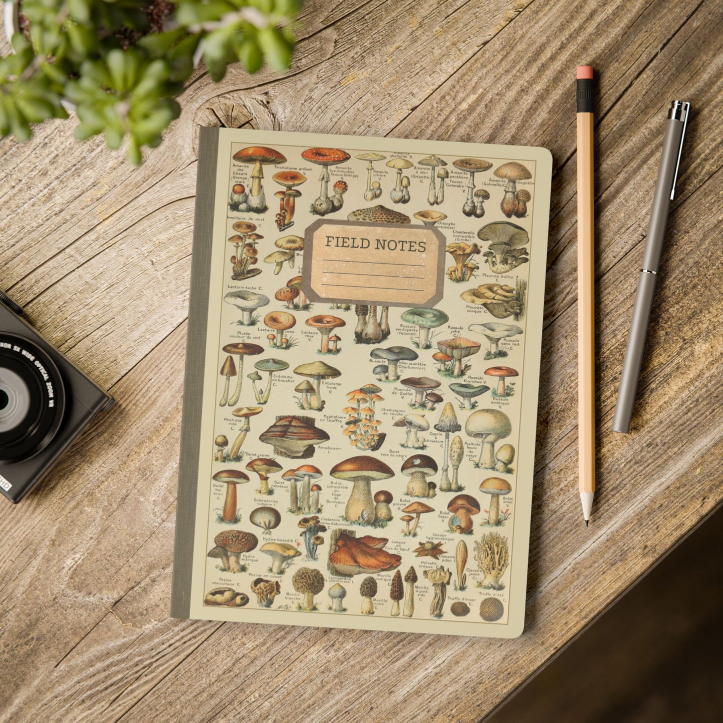 Forager Vintage Field Notes | Softcover Journal with Inside Illustrations
