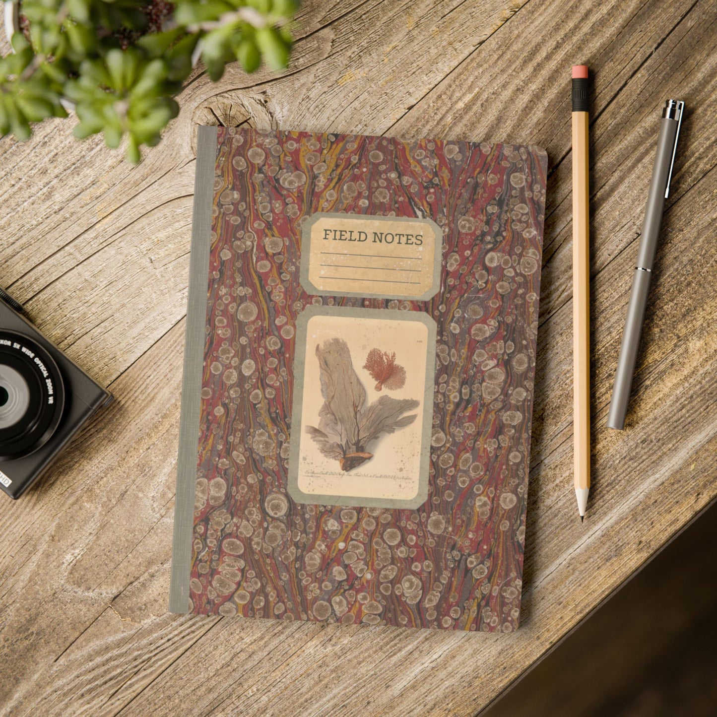 Beachcomber Vintage Field Notes | Softcover Journal with Inside Illustrations