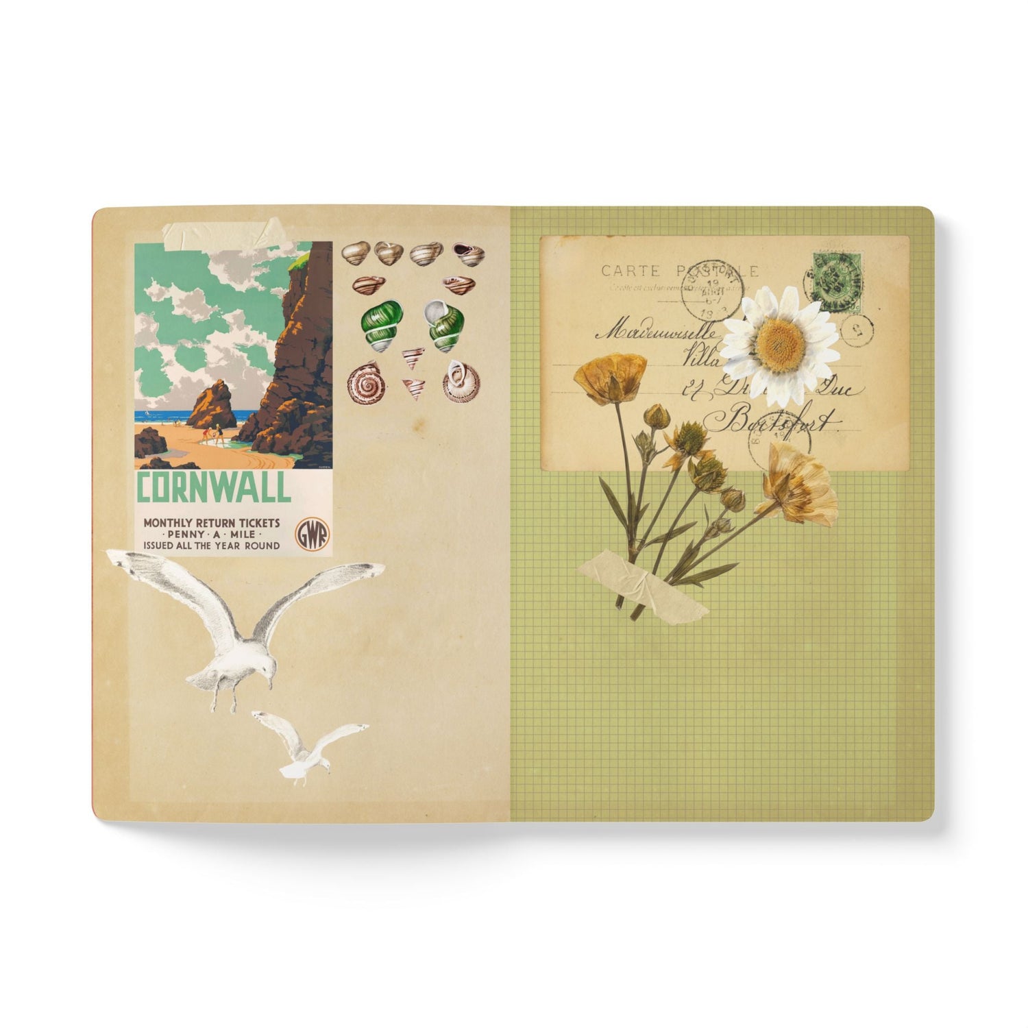 Flora & Fauna