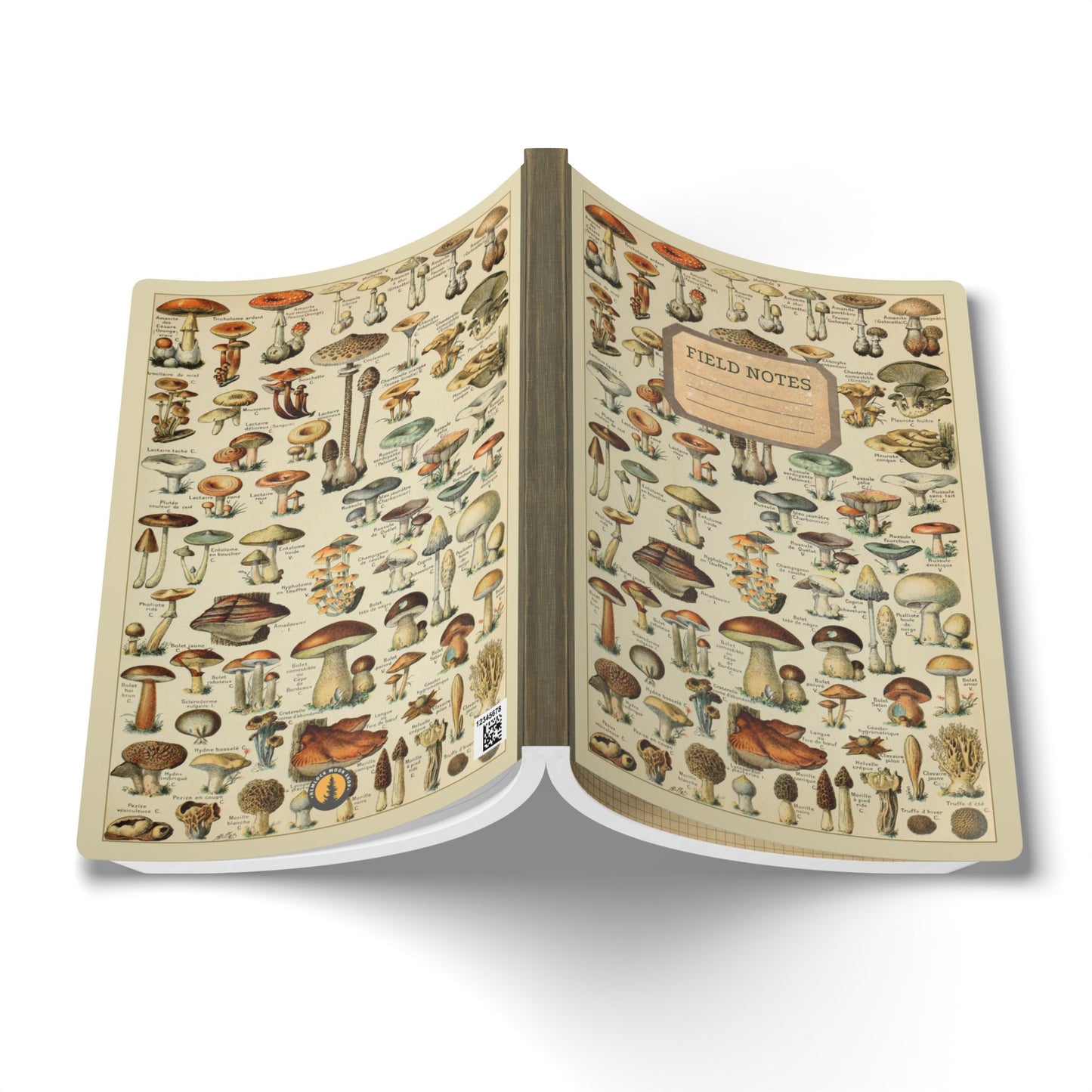 Forager Vintage Field Notes | Softcover Journal with Inside Illustrations