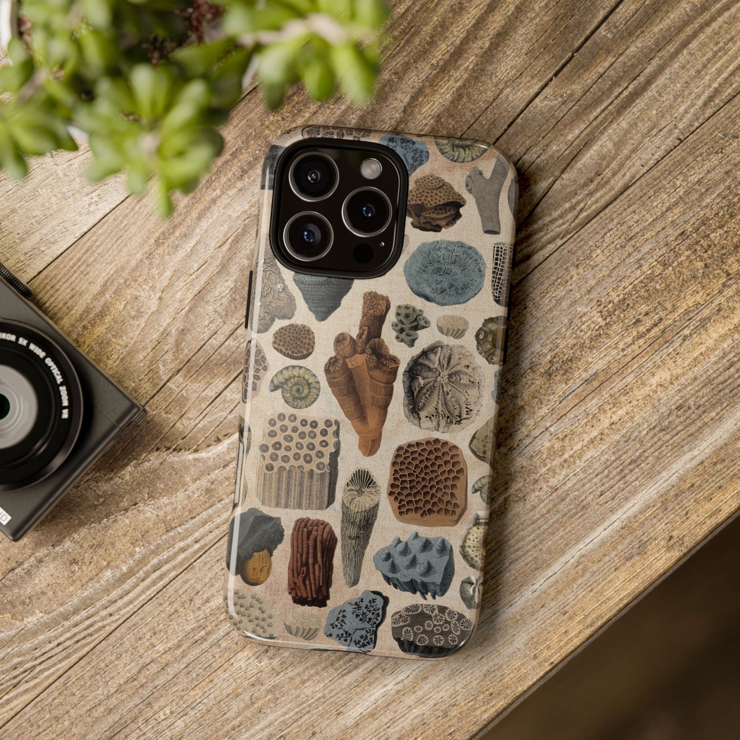 Fossils Antique Illustrations iPhone Case