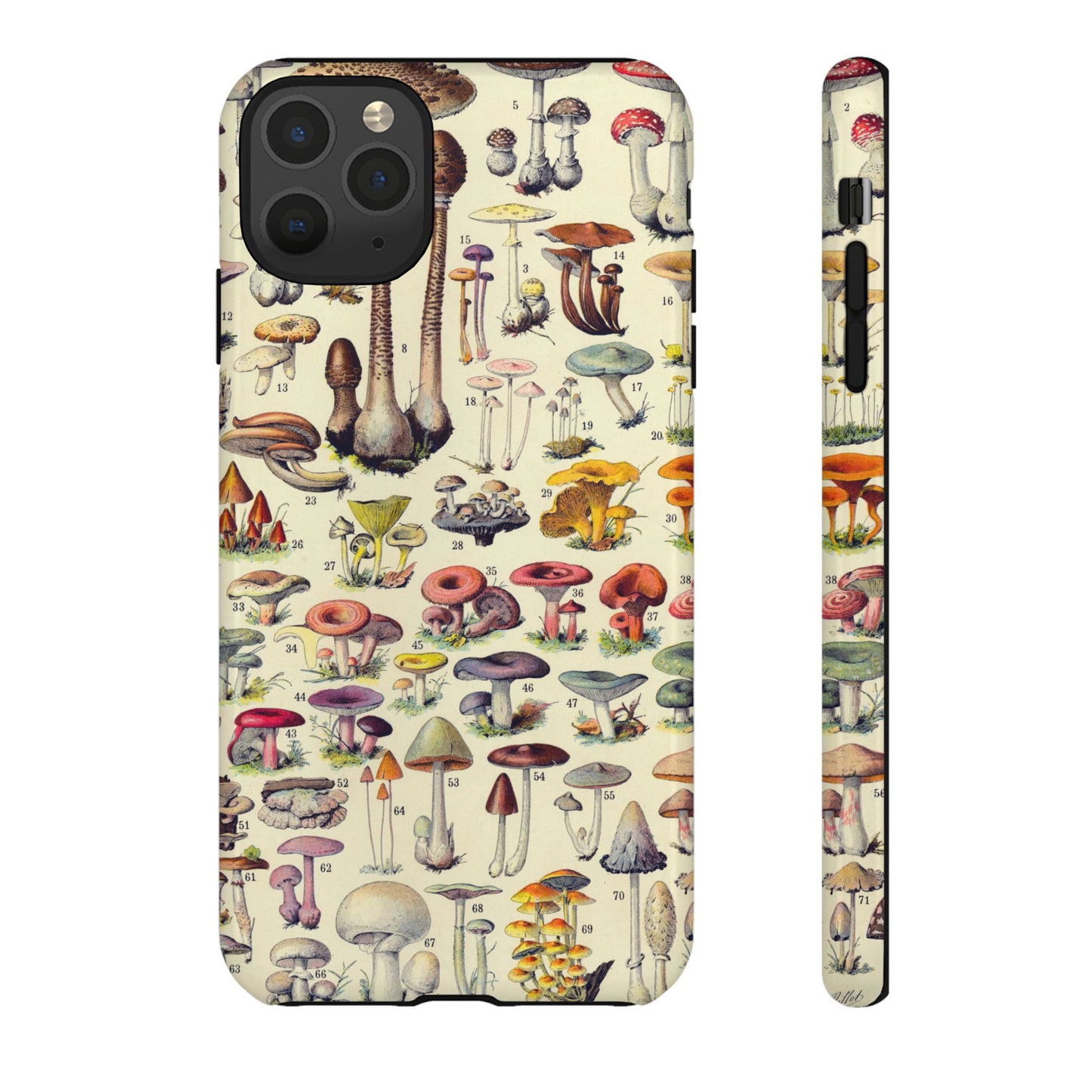 Antique Forager Fungi iPhone Case