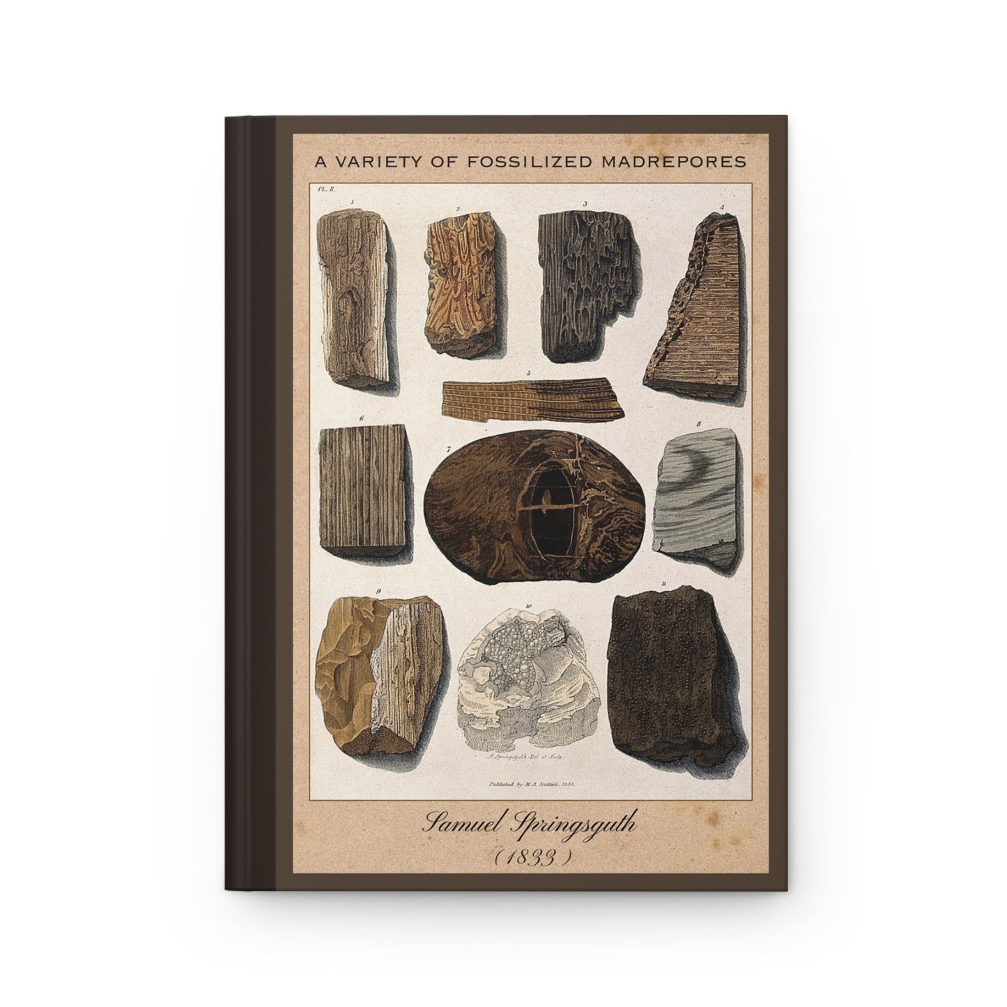 Vintage Fossil Collection Hardcover Notebook No. 003