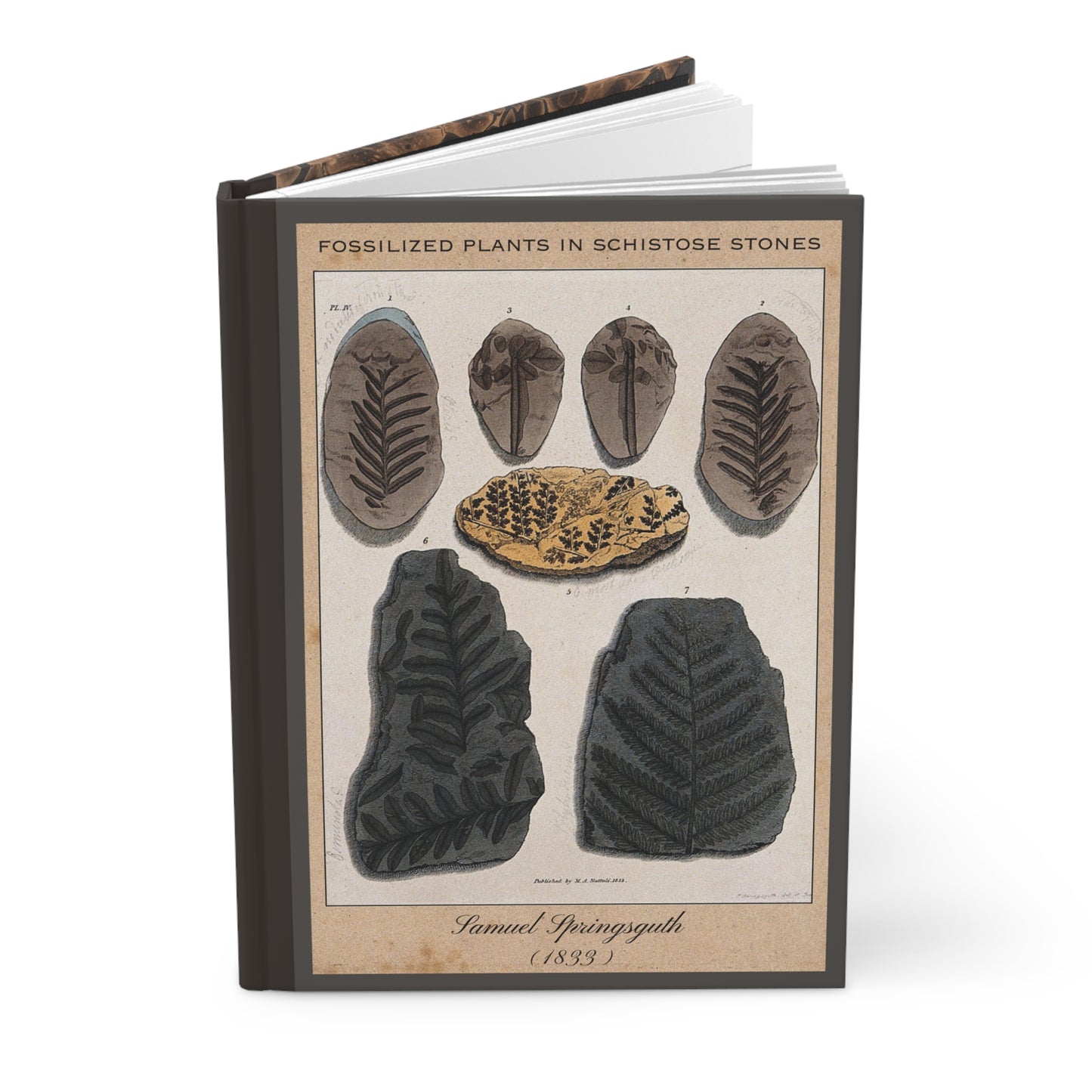 Vintage Fossil Collection Hardcover Notebook No. 012