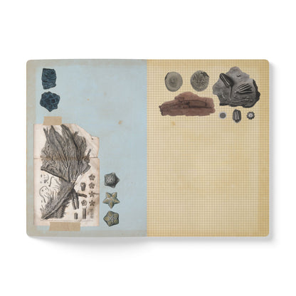 Fossils Vintage Blue Softcover Notebook