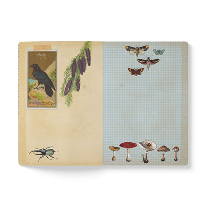 Forest & Rabbit Vintage Field Notes | Softcover Journal with Inside Illustrations