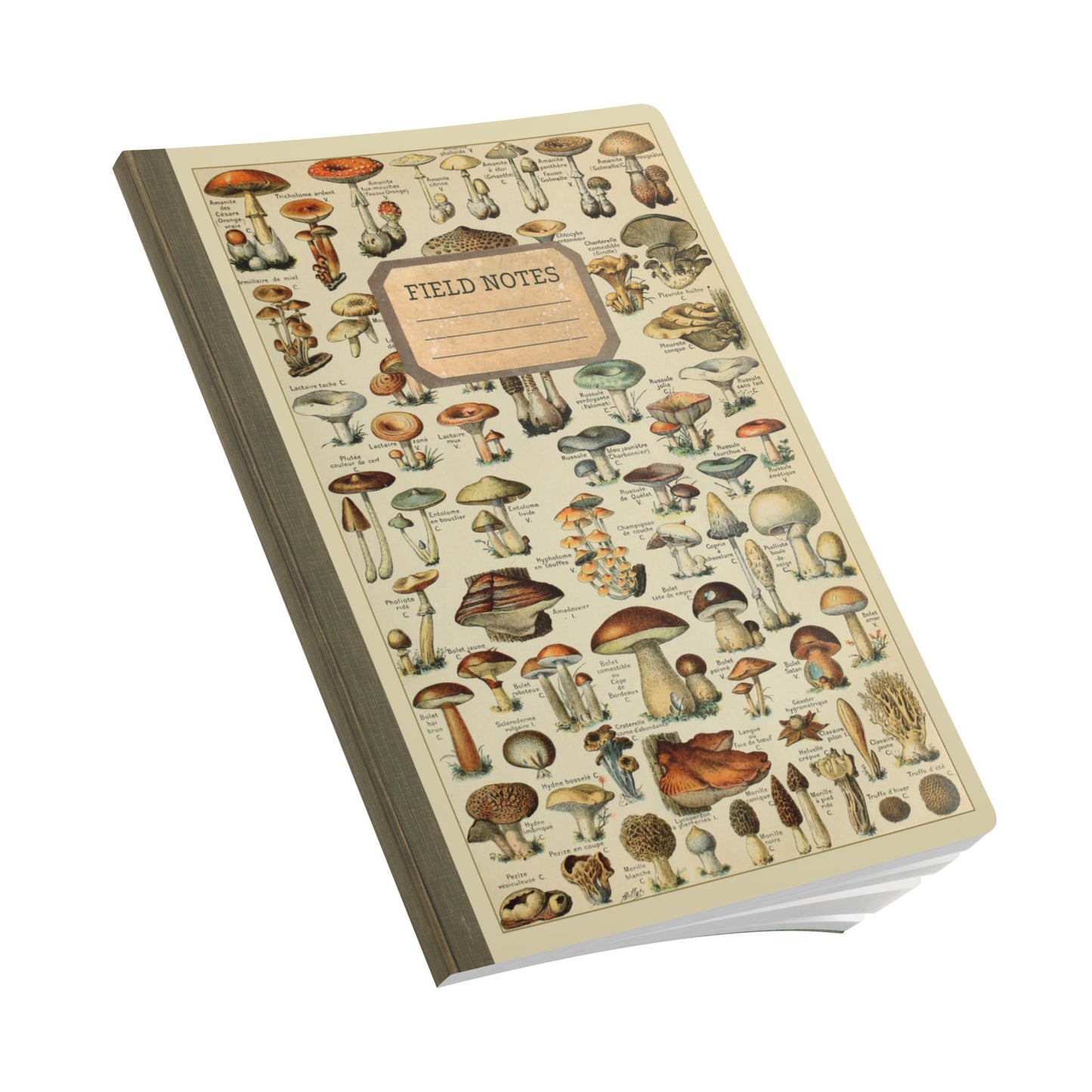 Forager Vintage Field Notes | Softcover Journal with Inside Illustrations