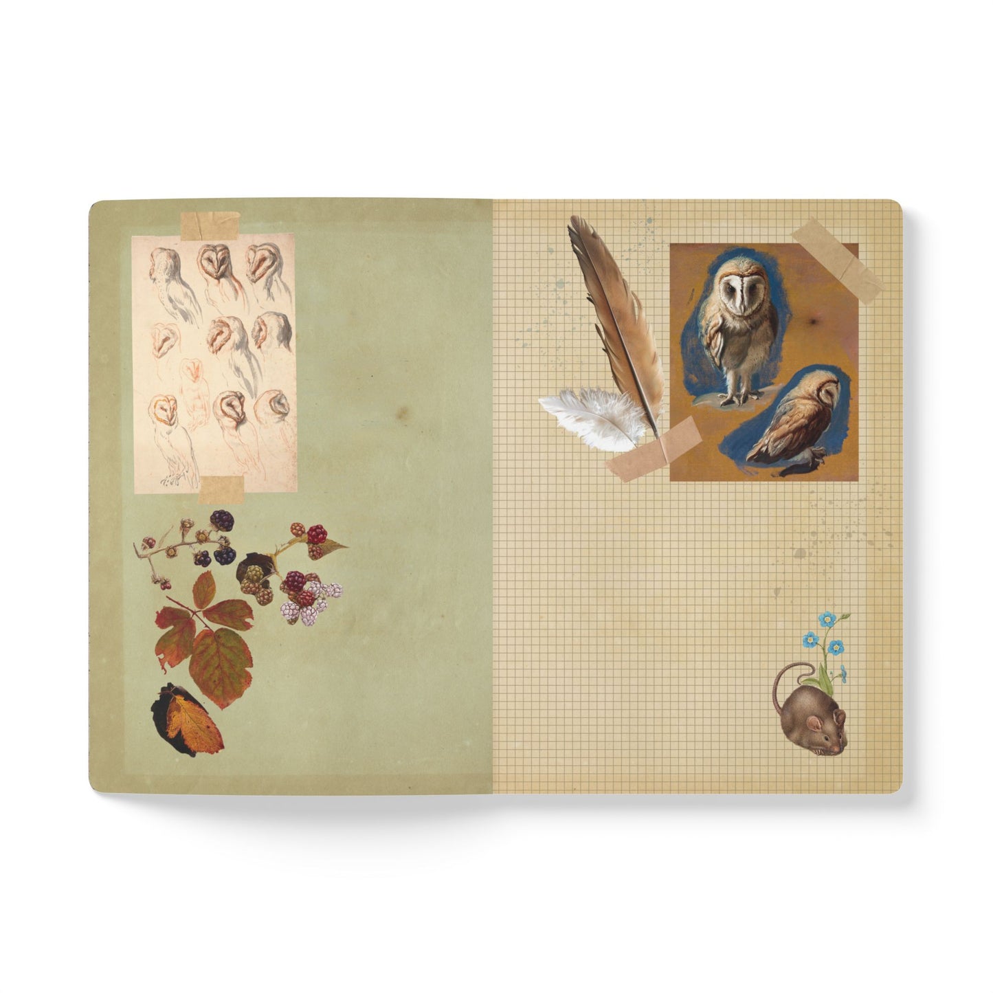 Owl & Moon Vintage Field Notes | Softcover Journal with Inside Illustrations