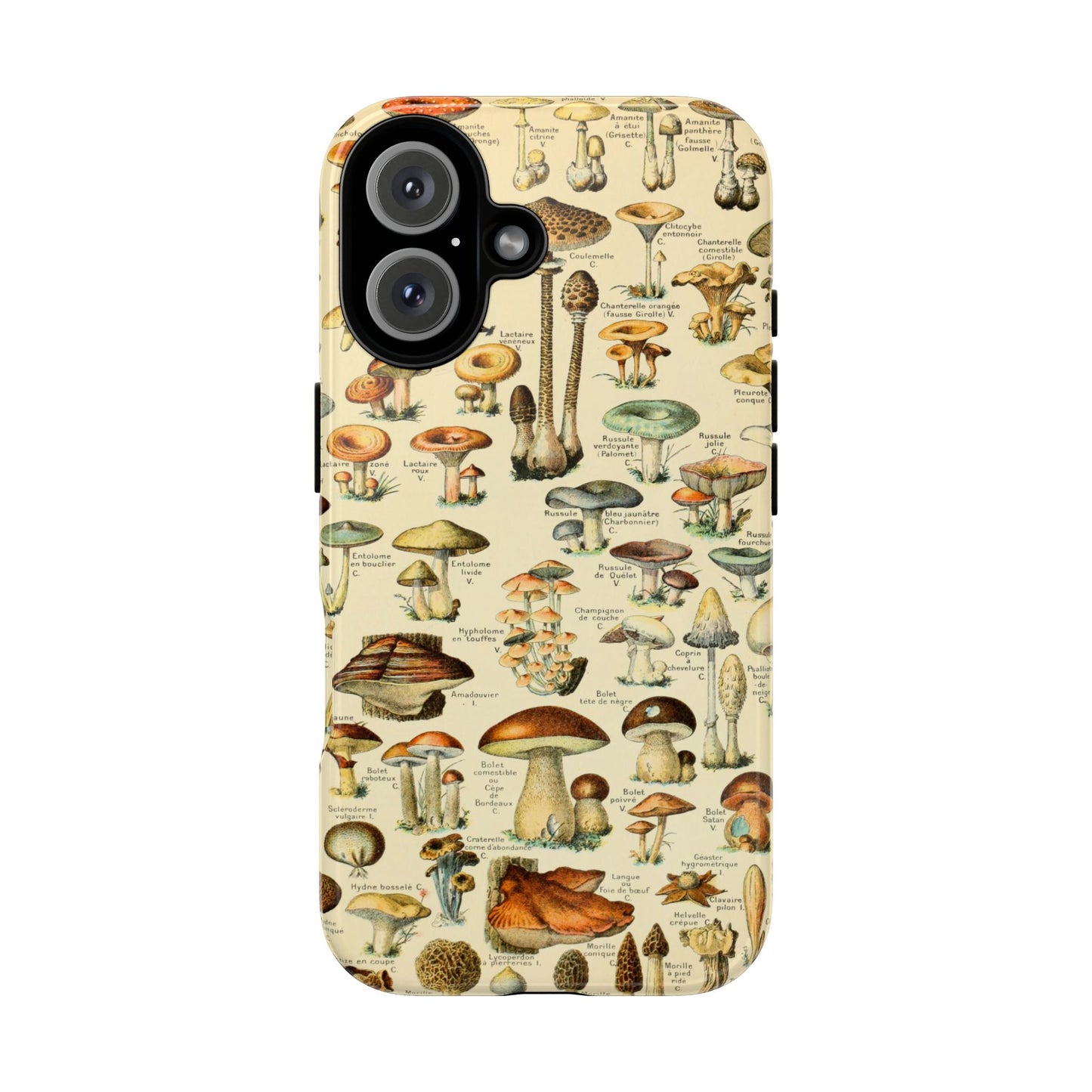 Mushrooms Vintage Field Guide iPhone Case