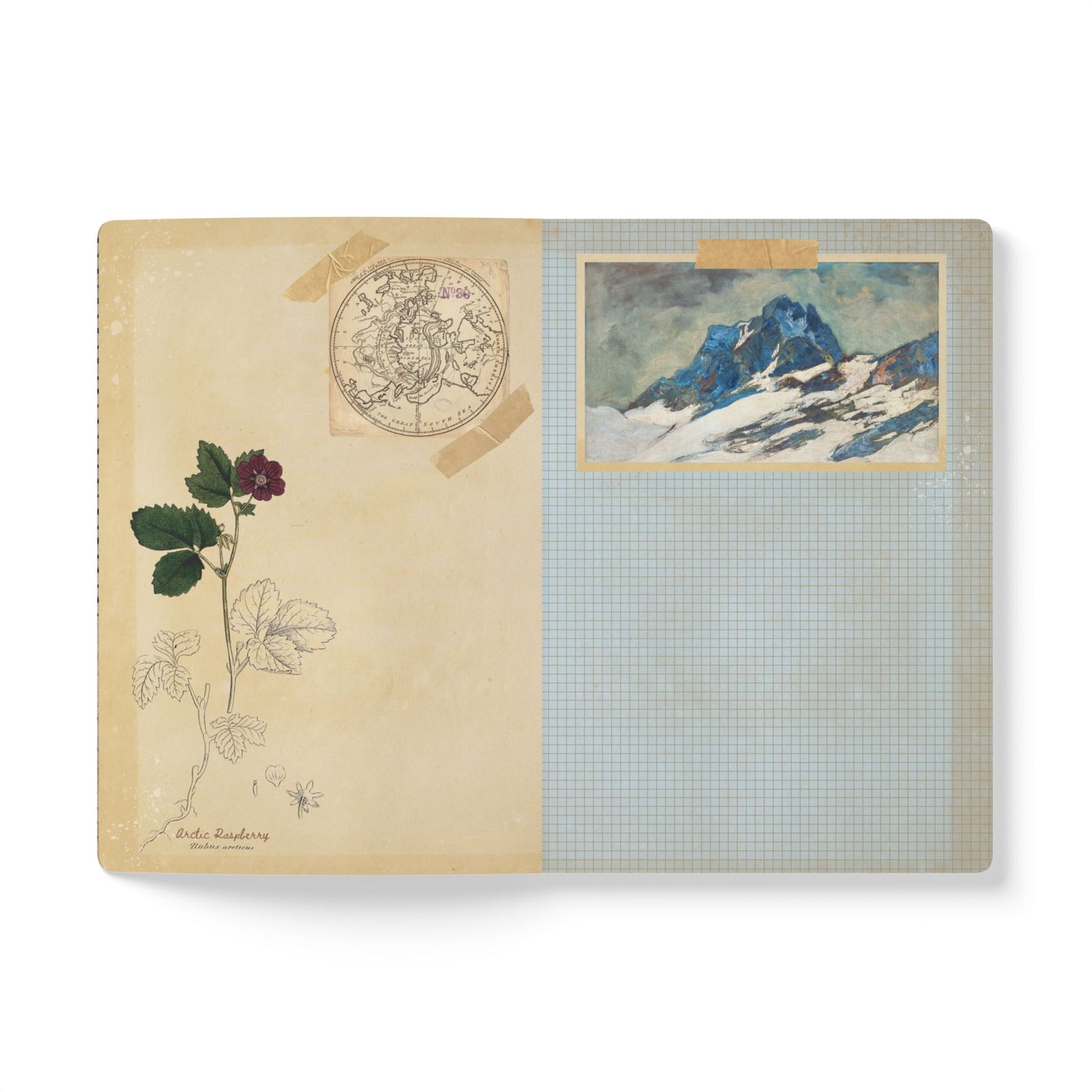 Northern Explorer Vintage Field Notes | Softcover Journal with Inside Illustrations