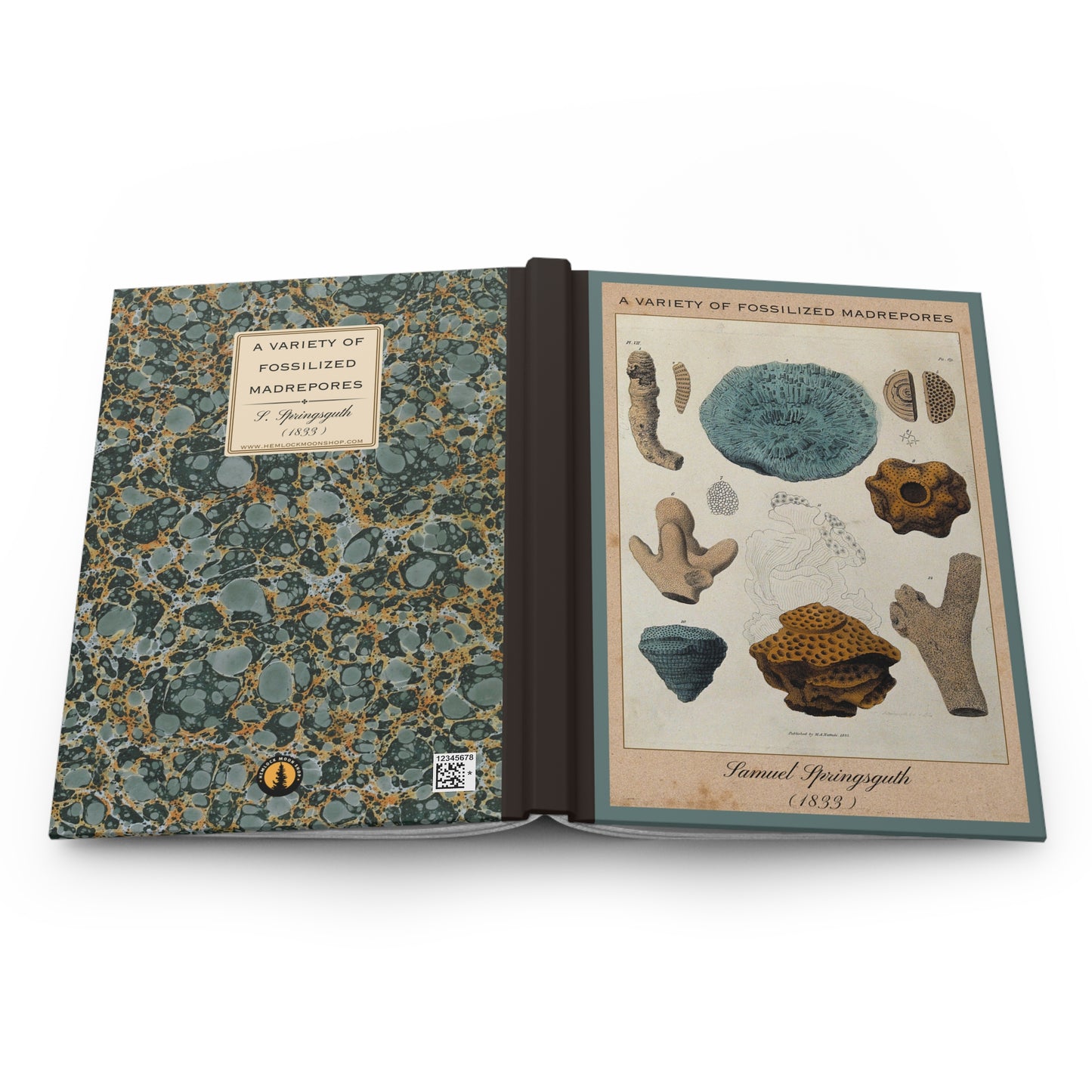 Vintage Fossil Collection Hardcover Notebook No. 002