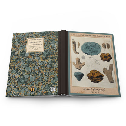 Vintage Fossil Collection Hardcover Notebook No. 002