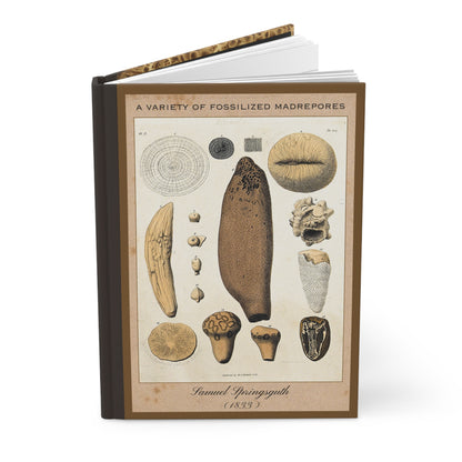 Vintage Fossil Collection Hardcover Notebook No. 004