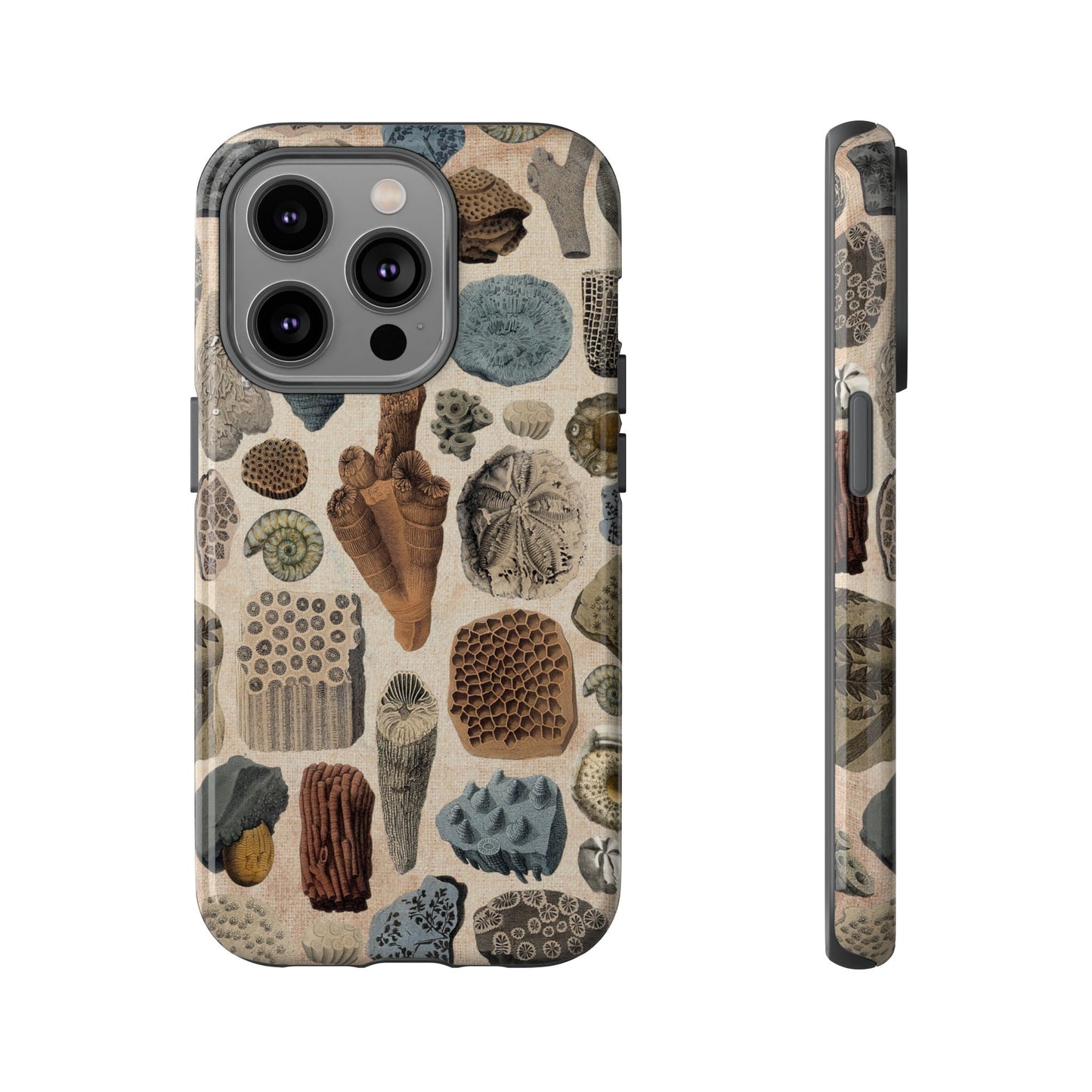 Fossils Antique Illustrations iPhone Case