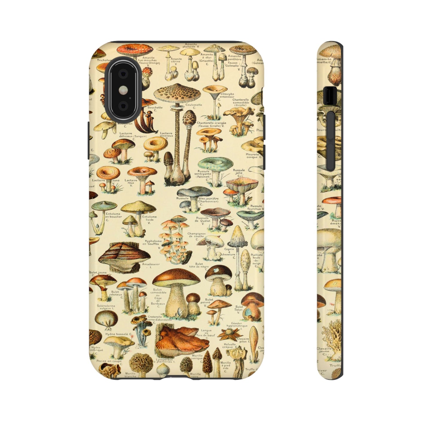 Mushrooms Vintage Field Guide iPhone Case