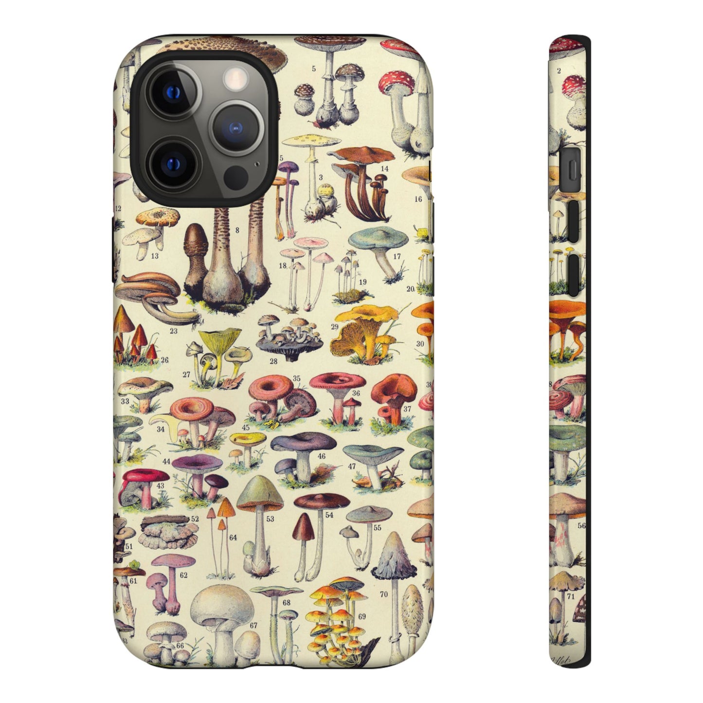 Antique Forager Fungi iPhone Case