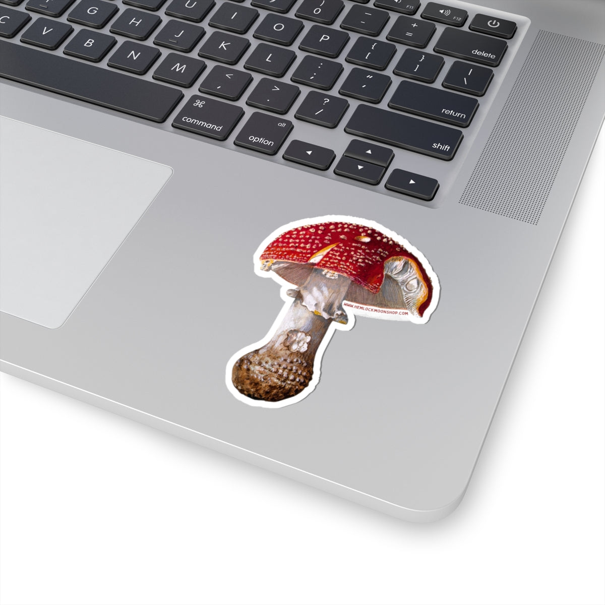 Amanita Muscaria (Fly Agaric Fungus) sticker (4 sizes)