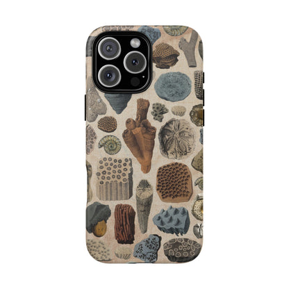 Fossils Antique Illustrations iPhone Case