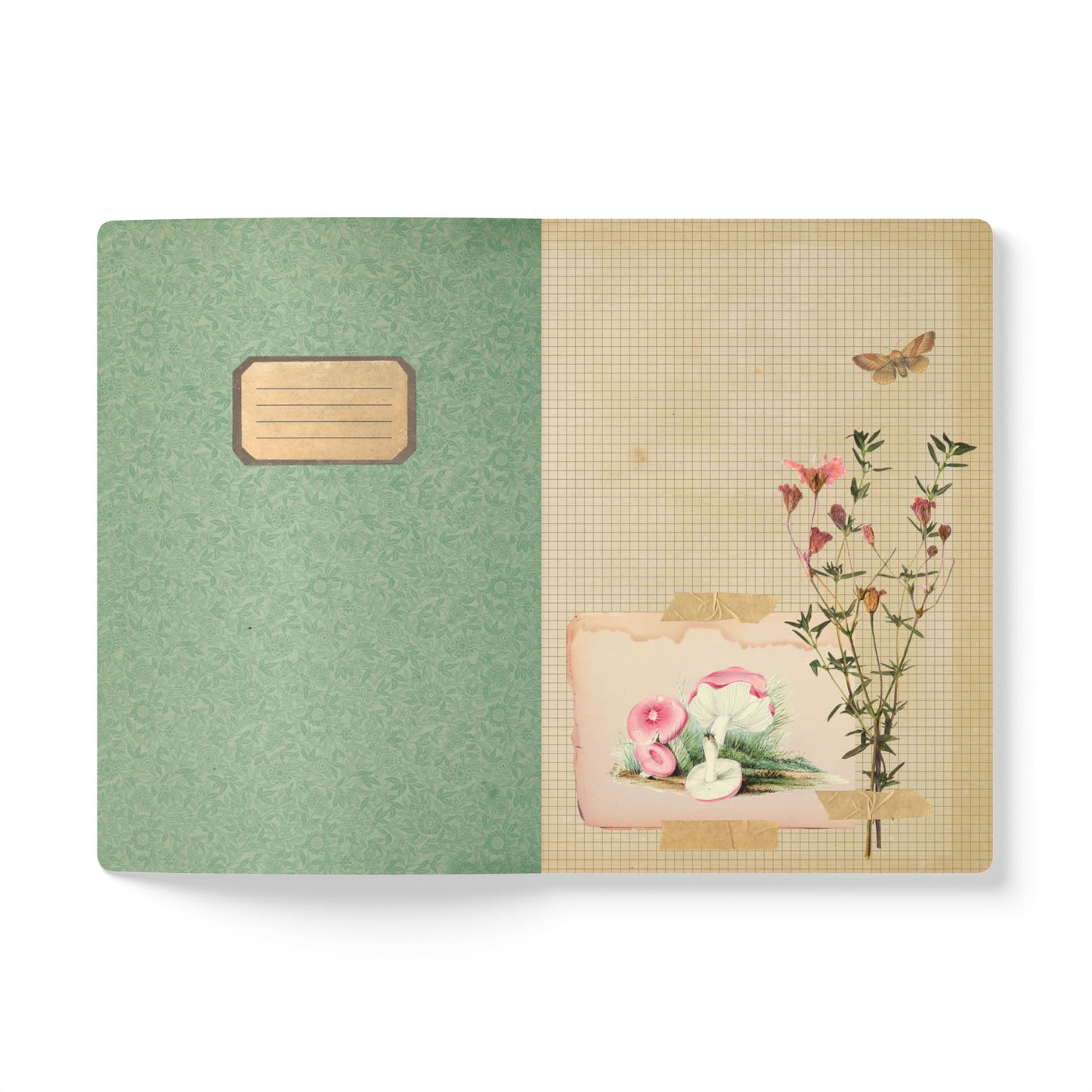 Forager Vintage Field Notes | Softcover Journal with Inside Illustrations