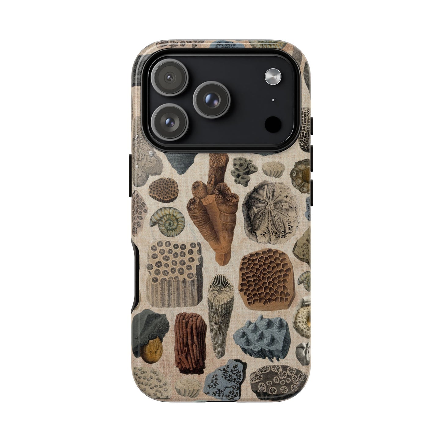 Fossils Antique Illustrations iPhone Case