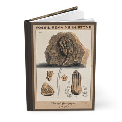 Vintage Fossil Collection Hardcover Notebook No. 009