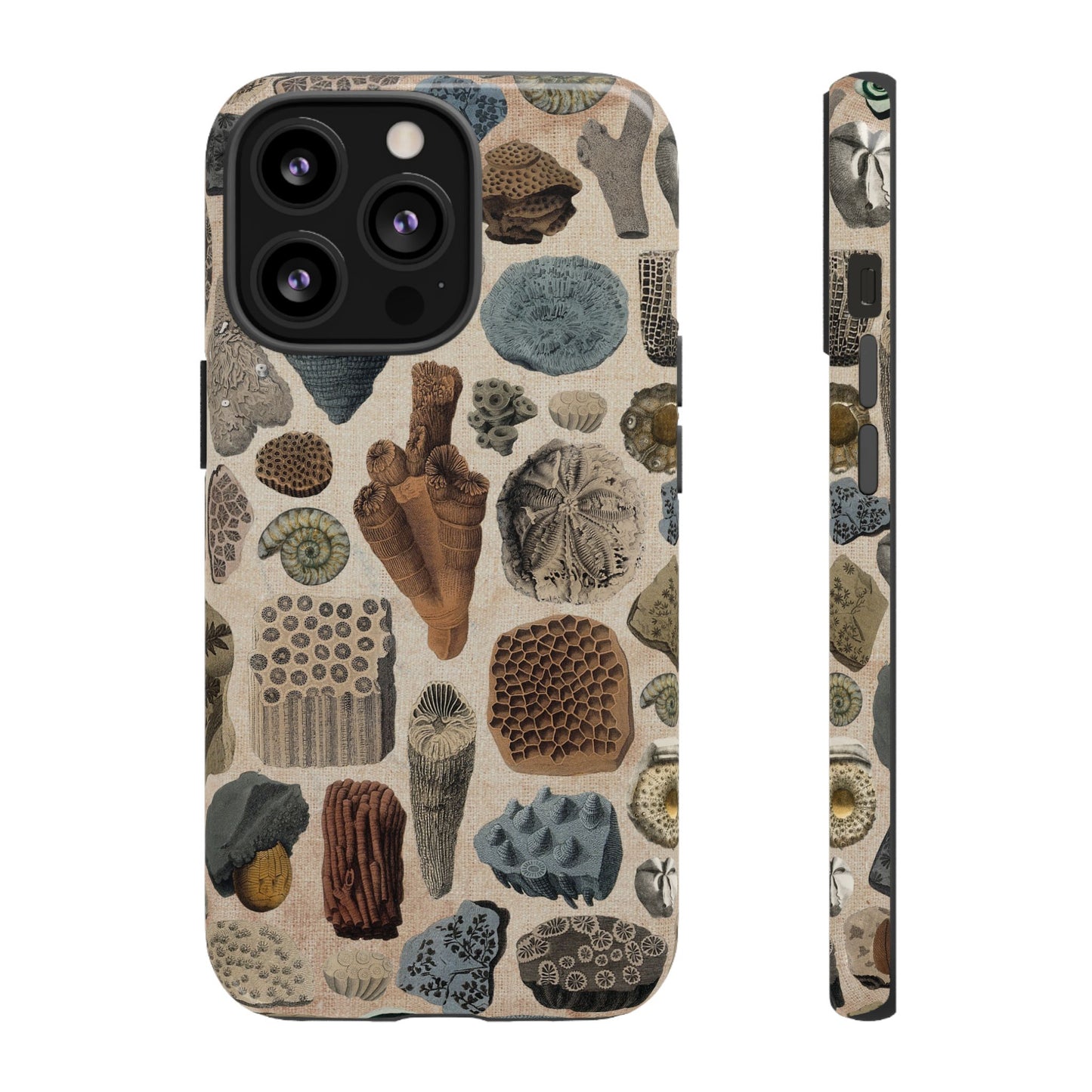 Fossils Antique Illustrations iPhone Case