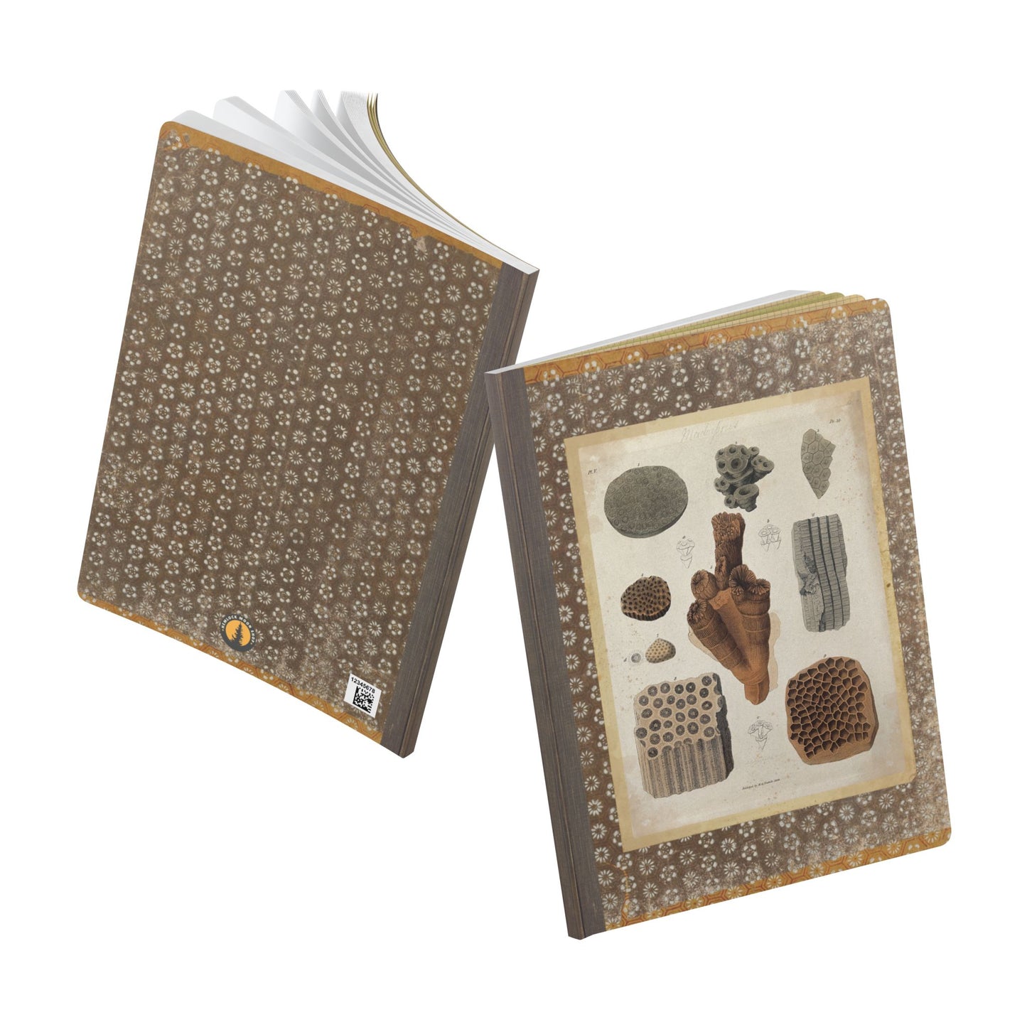 Fossils Vintage Brown Softcover Pocket Notebook