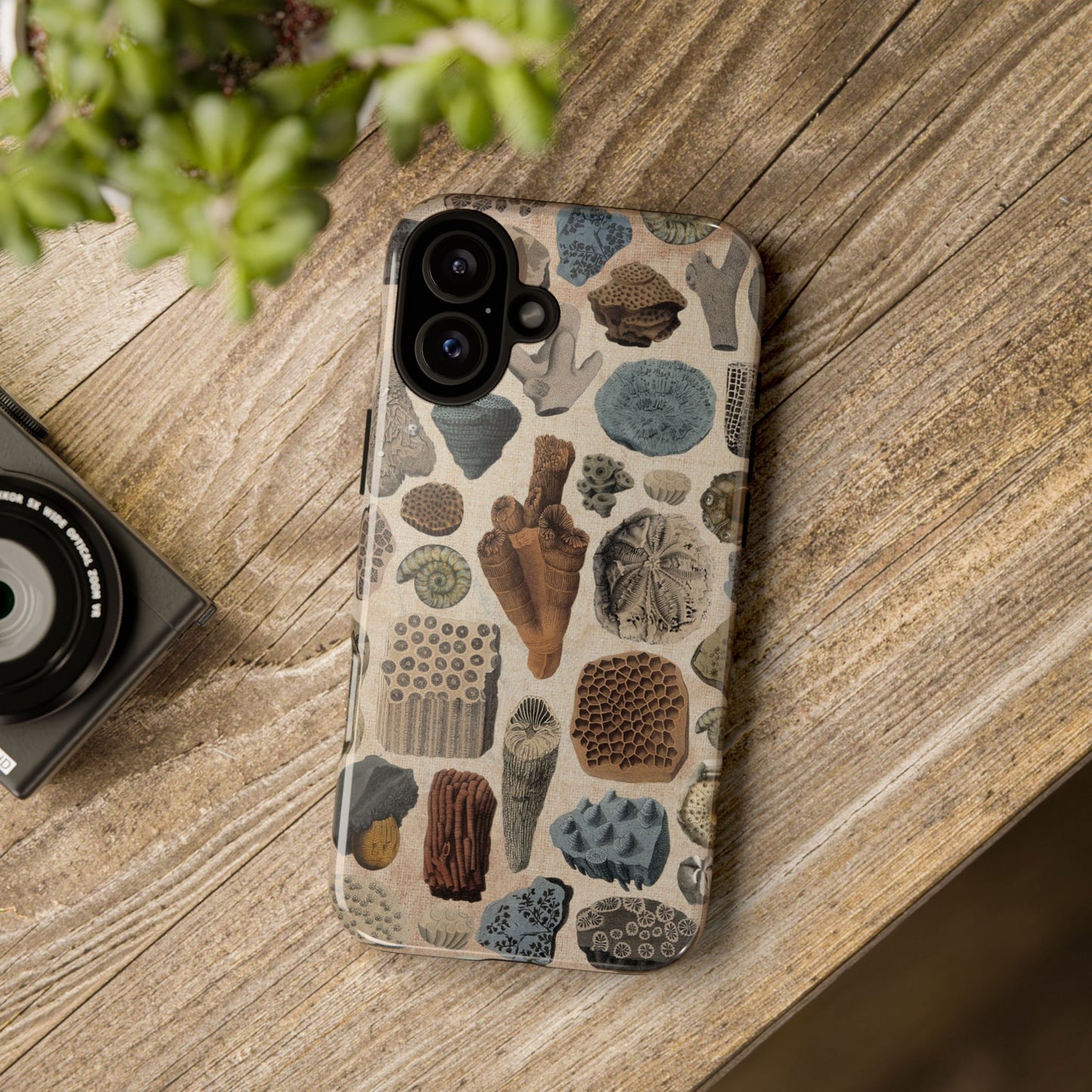 Fossils Antique Illustrations iPhone Case
