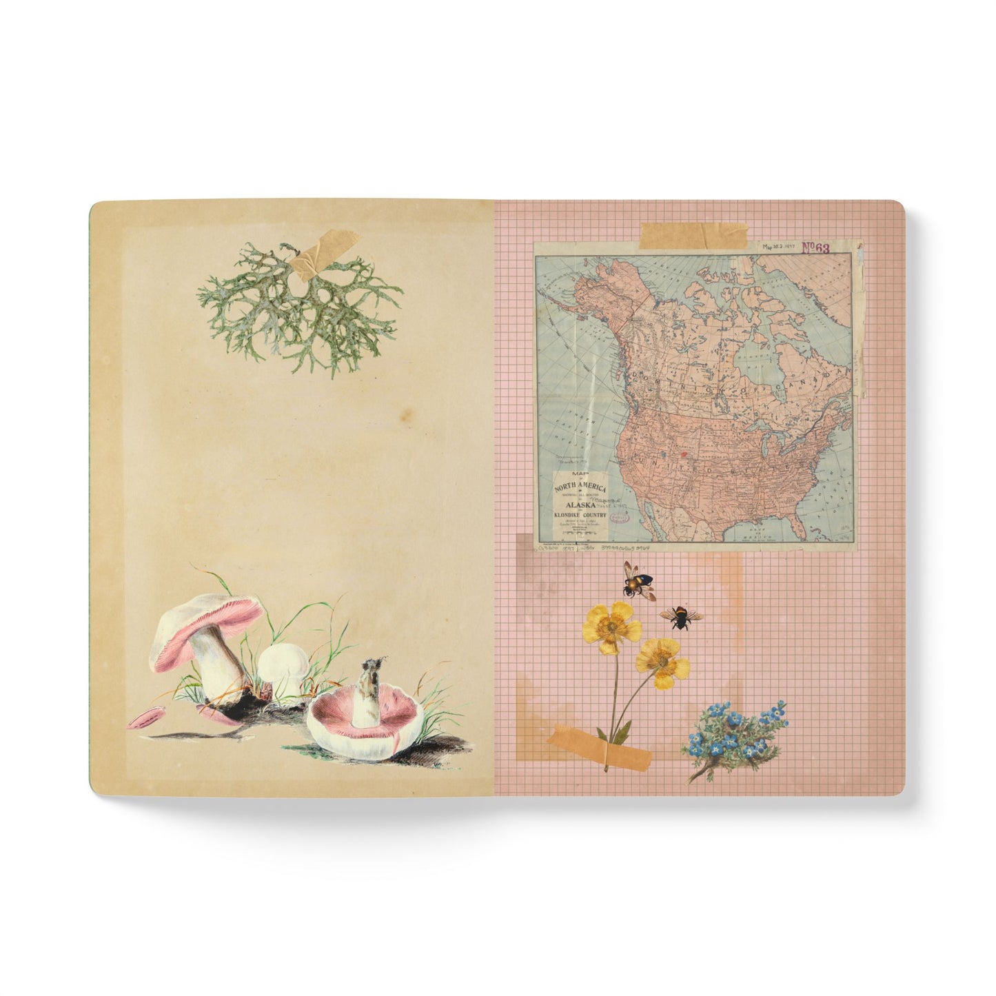 Forager Vintage Field Notes | Softcover Journal with Inside Illustrations