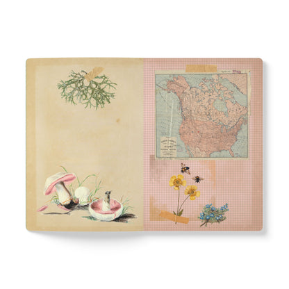 Forager Vintage Field Notes | Softcover Journal with Inside Illustrations