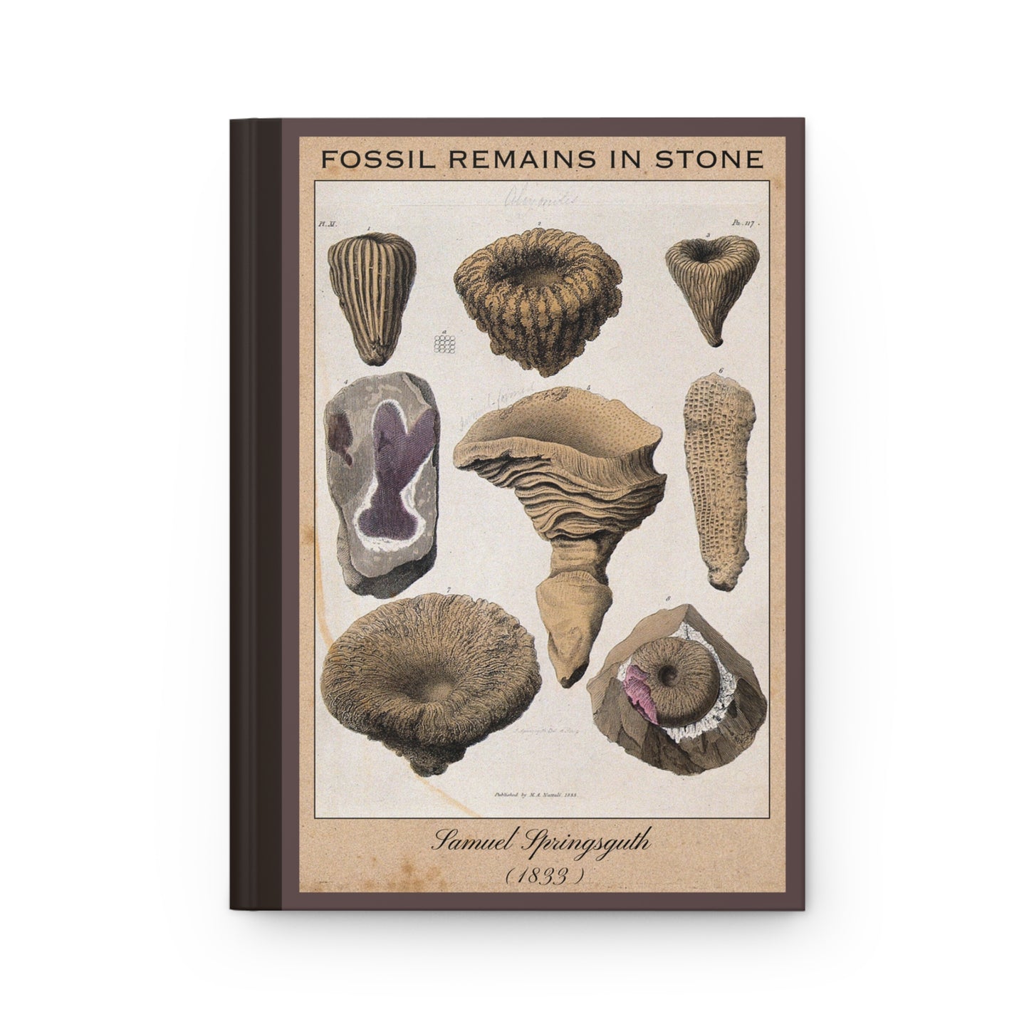 Vintage Fossil Collection Hardcover Notebook No. 010