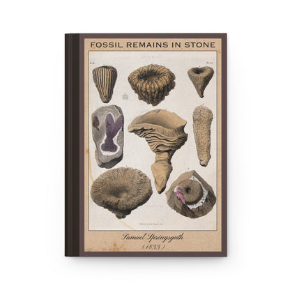 Vintage Fossil Collection Hardcover Notebook No. 010
