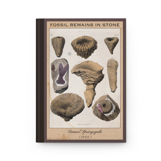 Vintage Fossil Collection Hardcover Notebook No. 010