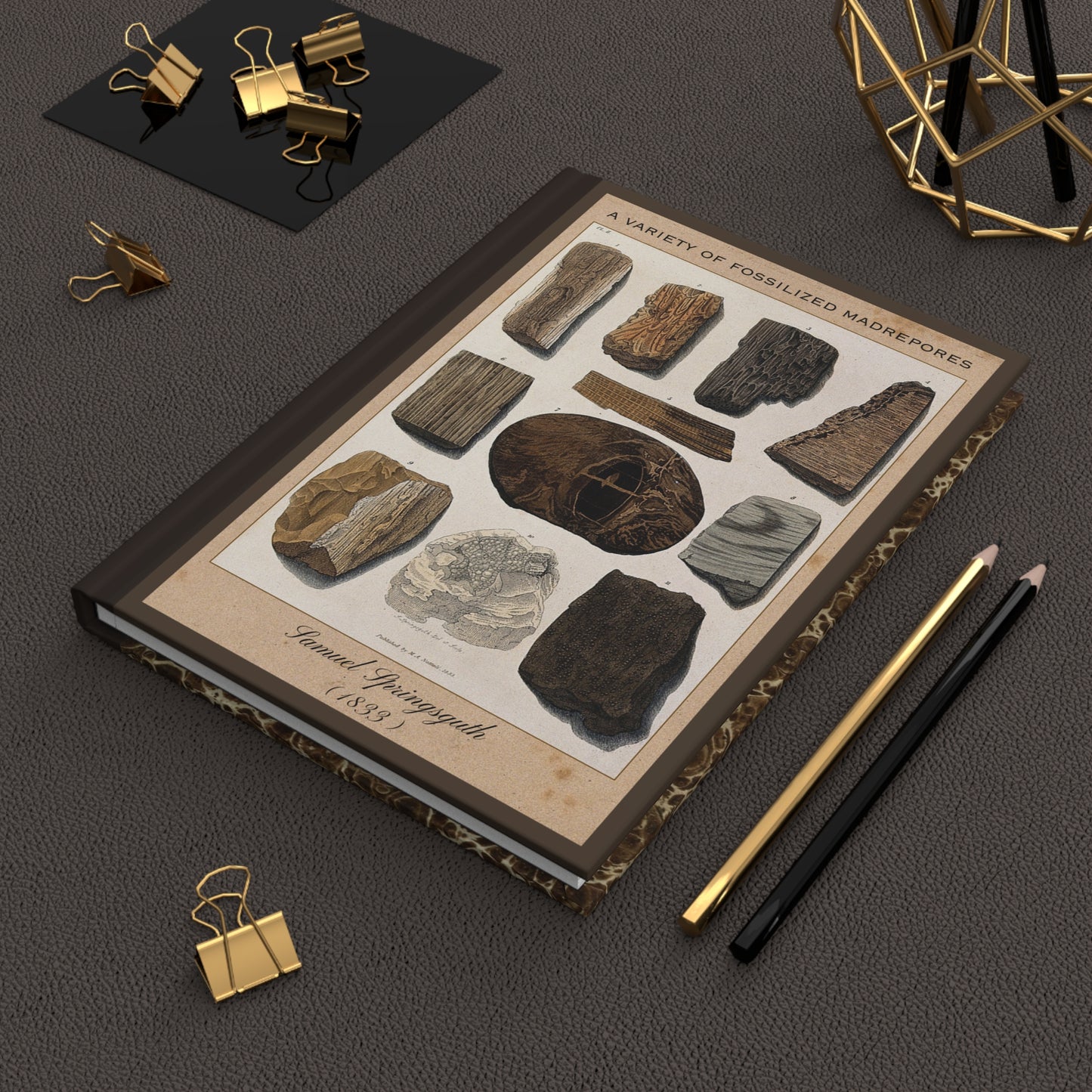 Vintage Fossil Collection Hardcover Notebook No. 003