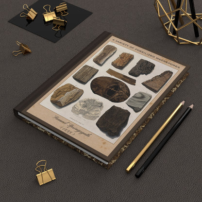 Vintage Fossil Collection Hardcover Notebook No. 003