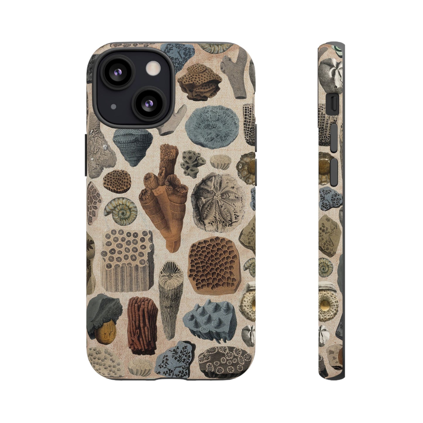 Fossils Antique Illustrations iPhone Case