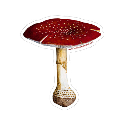 Fly Agaric (Amanita Mascara) Mushroom Sticker (4 sizes)