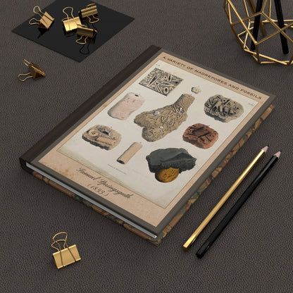 Vintage Fossil Collection Hardcover Notebook No. 007