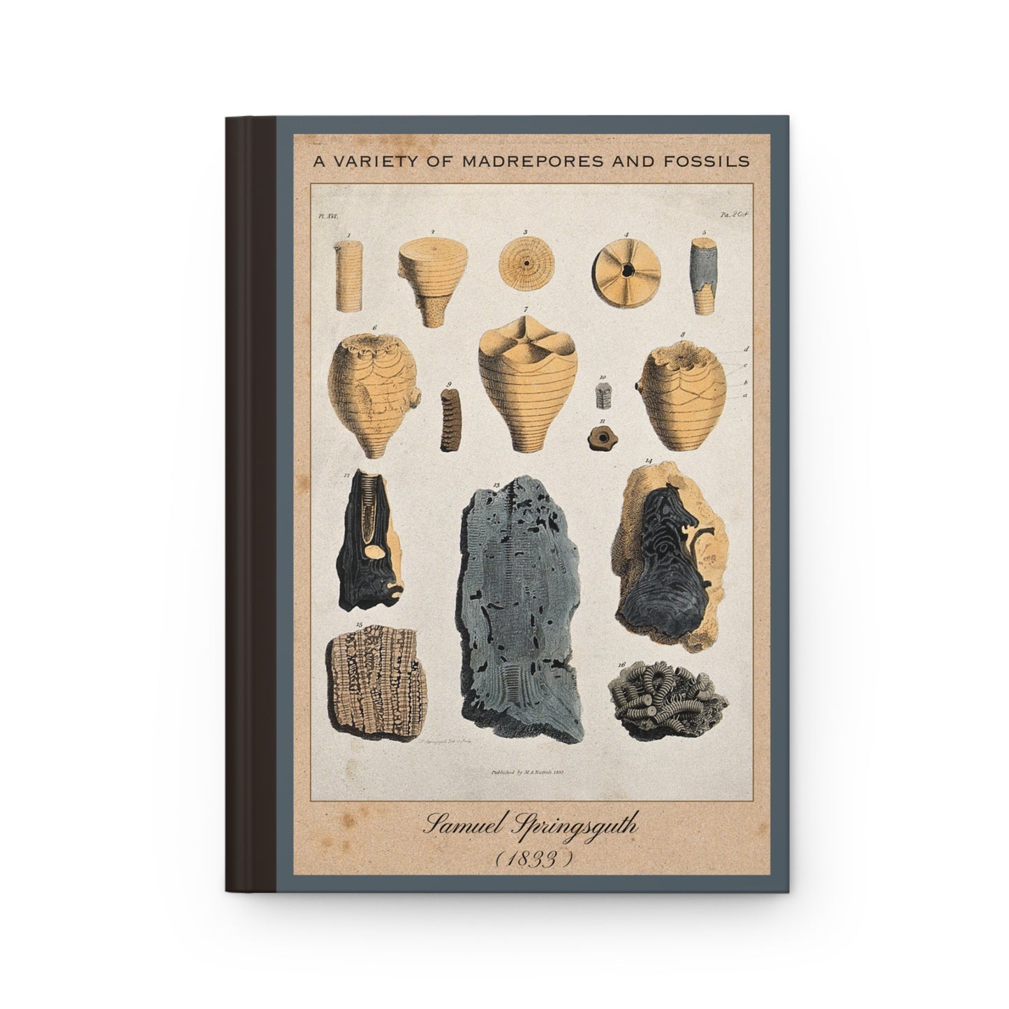 Vintage Fossil Collection Hardcover Notebook No. 006