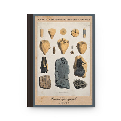 Vintage Fossil Collection Hardcover Notebook No. 006