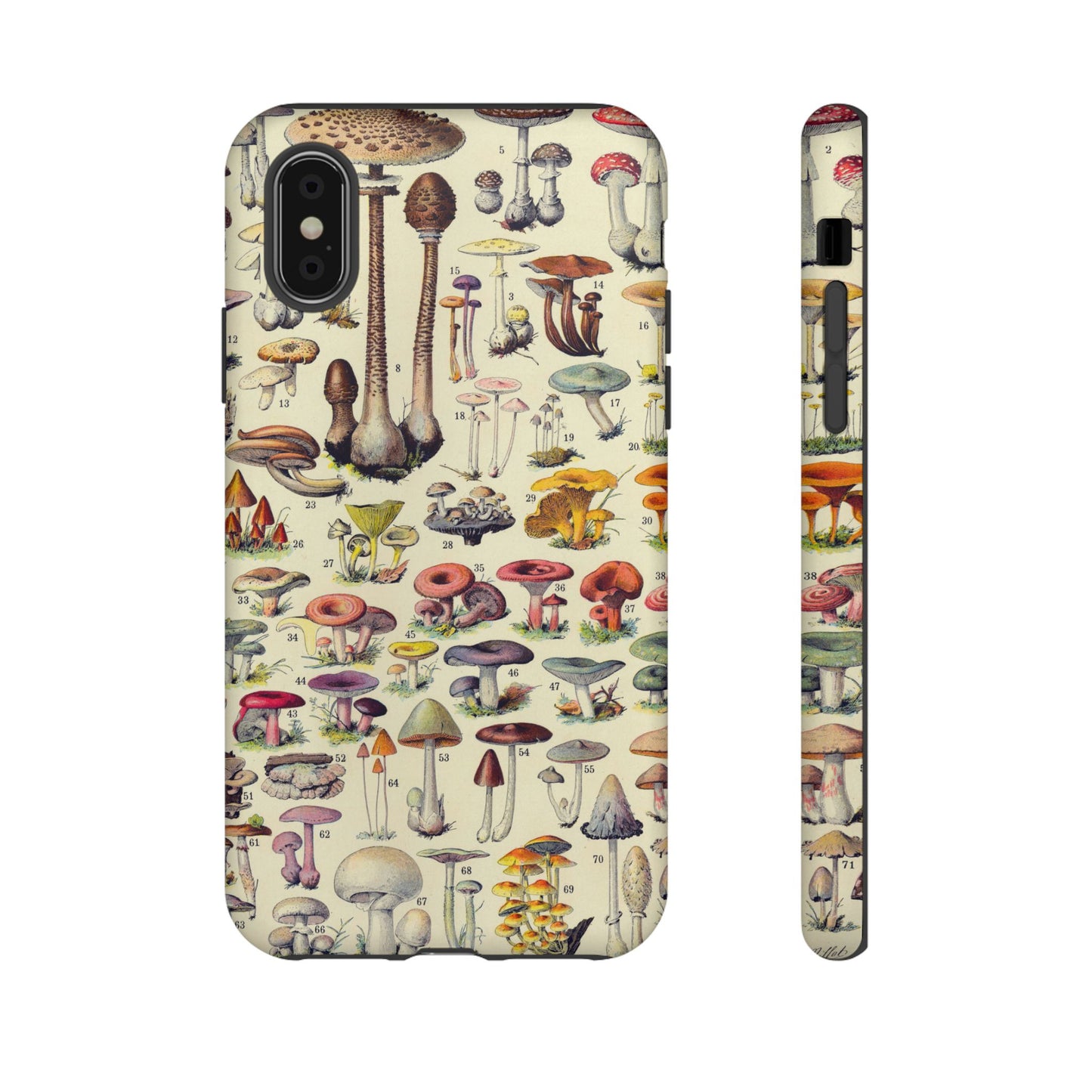 Antique Forager Fungi iPhone Case