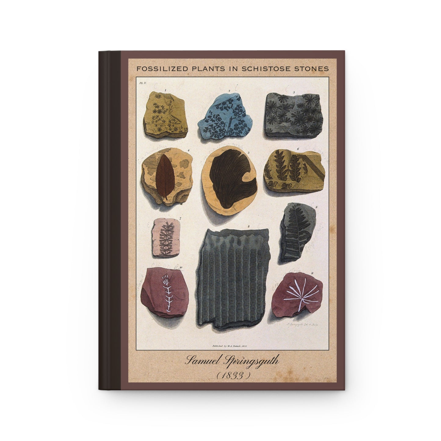 Vintage Fossil Collection Hardcover Notebook No. 008