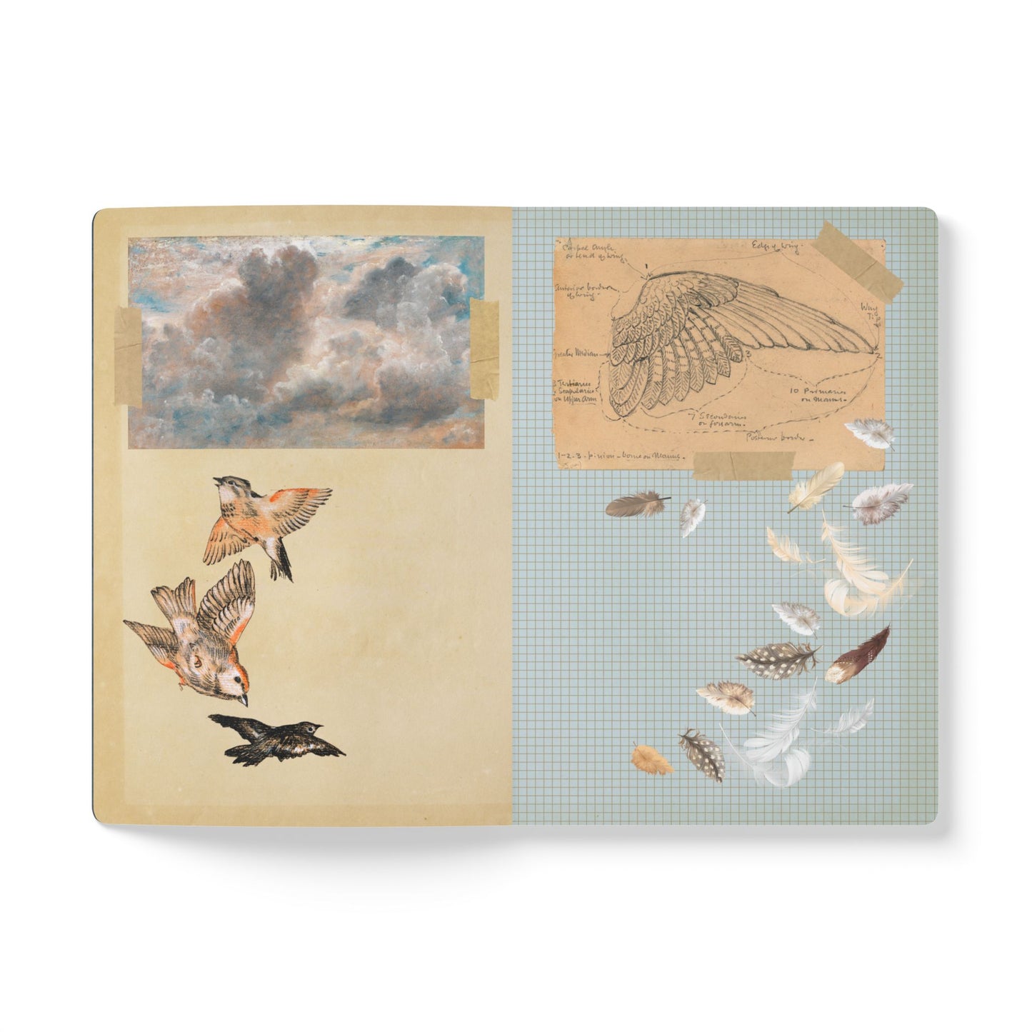 Birdwatcher Vintage Field Notes | Softcover Journal with Inside Illustrations