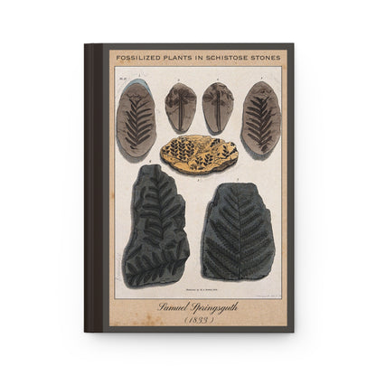 Vintage Fossil Collection Hardcover Notebook No. 012