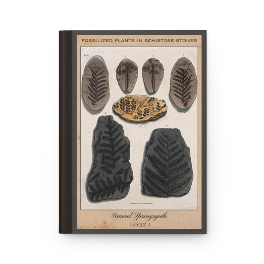 Vintage Fossil Collection Hardcover Notebook No. 012