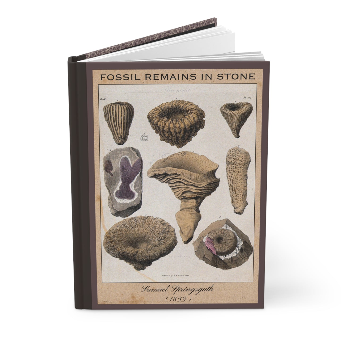 Vintage Fossil Collection Hardcover Notebook No. 010