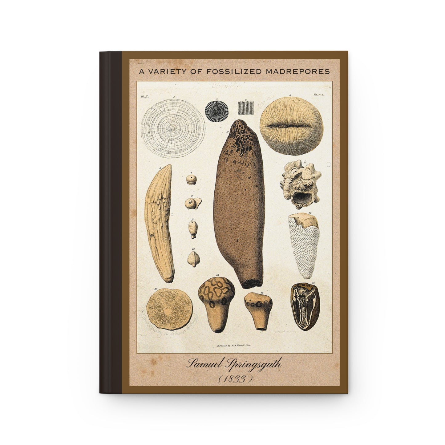 Vintage Fossil Collection Hardcover Notebook No. 004