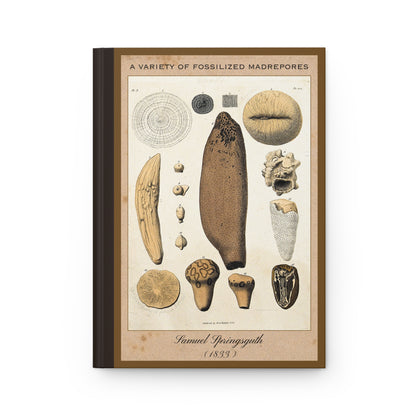 Vintage Fossil Collection Hardcover Notebook No. 004