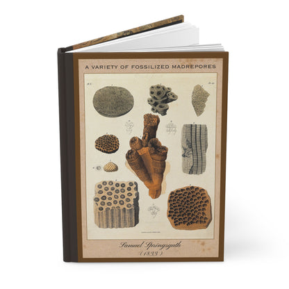 Vintage Fossil Collection Hardcover Notebook No. 001