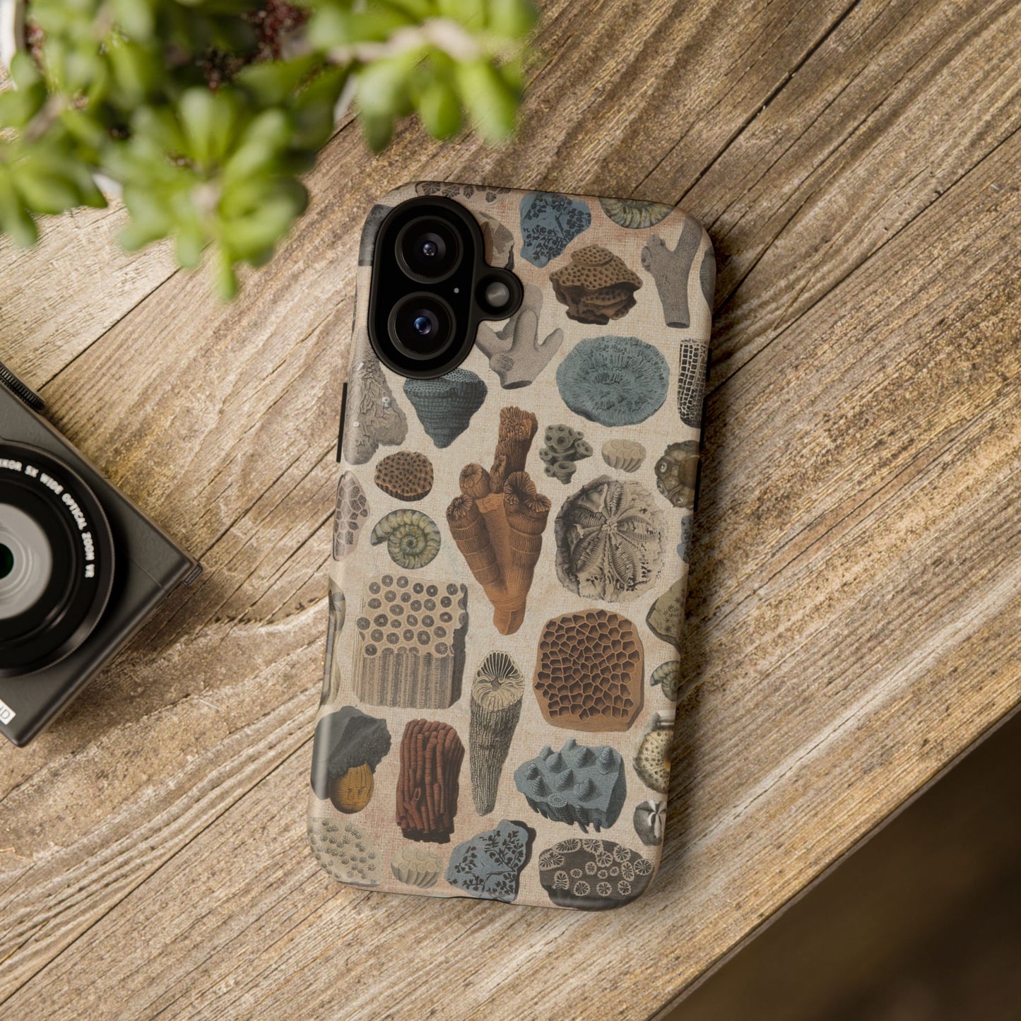 Fossils Antique Illustrations iPhone Case